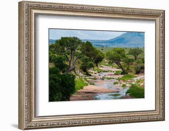 Trees growing along the banks of the Talek River. Masai Mara National Reserve, Kenya.-Sergio Pitamitz-Framed Photographic Print