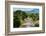 Trees growing along the banks of the Talek River. Masai Mara National Reserve, Kenya.-Sergio Pitamitz-Framed Photographic Print