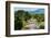 Trees growing along the banks of the Talek River. Masai Mara National Reserve, Kenya.-Sergio Pitamitz-Framed Photographic Print