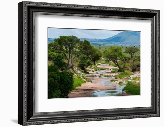 Trees growing along the banks of the Talek River. Masai Mara National Reserve, Kenya.-Sergio Pitamitz-Framed Photographic Print