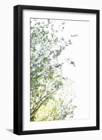 Trees I-Karyn Millet-Framed Photographic Print
