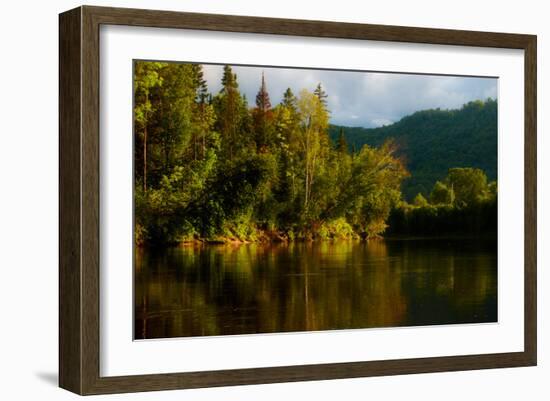 Trees II-Peter Morneau-Framed Art Print