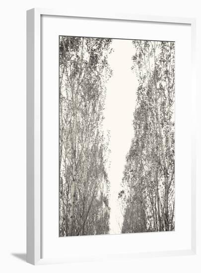 Trees III-Karyn Millet-Framed Photographic Print