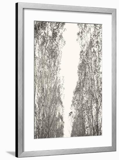 Trees III-Karyn Millet-Framed Photographic Print