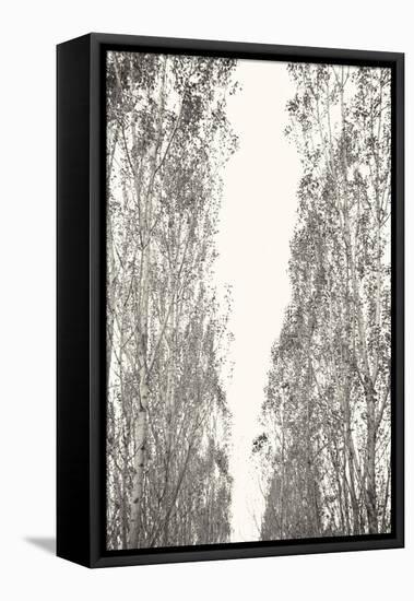 Trees III-Karyn Millet-Framed Premier Image Canvas