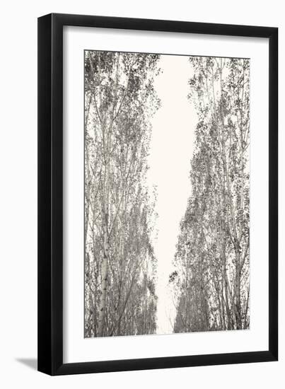 Trees III-Karyn Millet-Framed Photographic Print