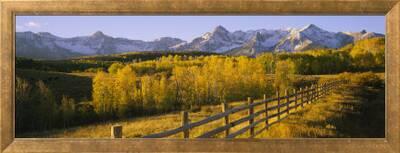Trees In A Field Near A Wooden Fence Dallas Divide San Juan Mountains Colorado Usa Photographic Print Art Com