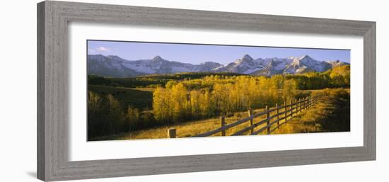 Trees in a Field Near a Wooden Fence, Dallas Divide, San Juan Mountains, Colorado, USA-null-Framed Photographic Print