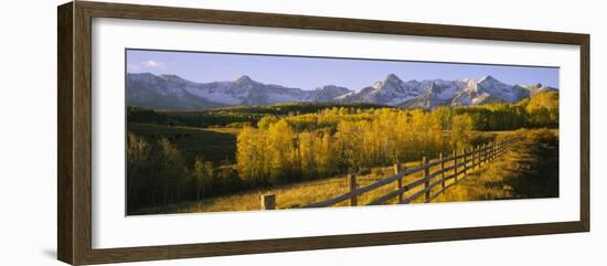 Trees in a Field Near a Wooden Fence, Dallas Divide, San Juan Mountains, Colorado, USA-null-Framed Photographic Print