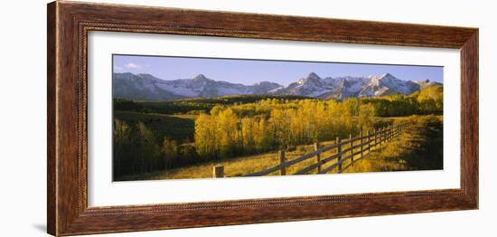 Trees in a Field Near a Wooden Fence, Dallas Divide, San Juan Mountains, Colorado, USA-null-Framed Photographic Print