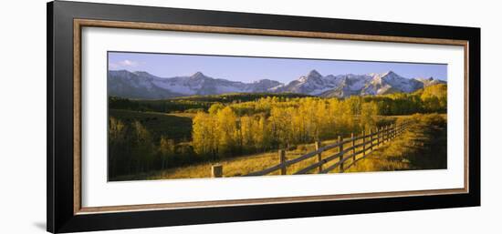 Trees in a Field Near a Wooden Fence, Dallas Divide, San Juan Mountains, Colorado, USA-null-Framed Photographic Print