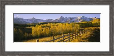 Trees In A Field Near A Wooden Fence Dallas Divide San Juan Mountains Colorado Usa Photographic Print Art Com
