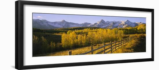 Trees in a Field Near a Wooden Fence, Dallas Divide, San Juan Mountains, Colorado, USA-null-Framed Photographic Print