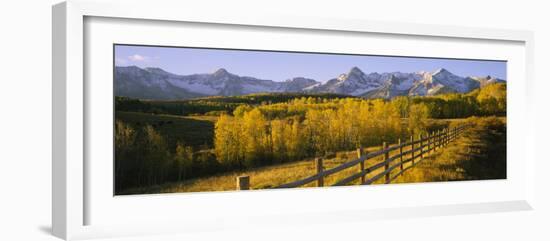 Trees in a Field Near a Wooden Fence, Dallas Divide, San Juan Mountains, Colorado, USA-null-Framed Photographic Print