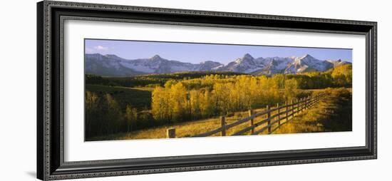 Trees in a Field Near a Wooden Fence, Dallas Divide, San Juan Mountains, Colorado, USA-null-Framed Photographic Print