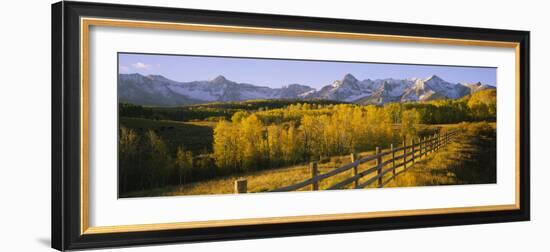 Trees in a Field Near a Wooden Fence, Dallas Divide, San Juan Mountains, Colorado, USA-null-Framed Photographic Print