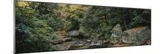 Photographic Print