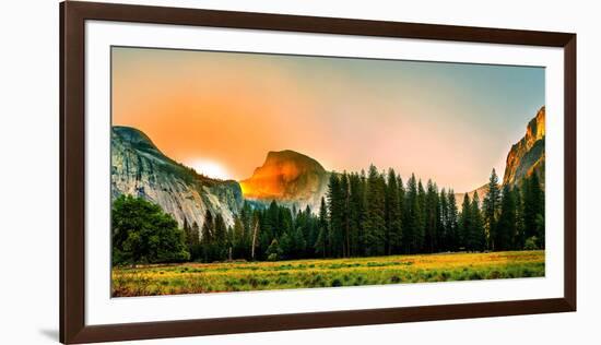 Trees in a Forest with Mountain Range in the Background, Yosemite National Park, California, USA-null-Framed Photographic Print