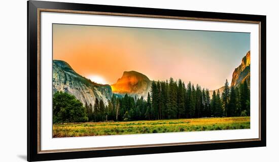 Trees in a Forest with Mountain Range in the Background, Yosemite National Park, California, USA-null-Framed Photographic Print