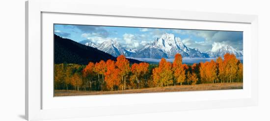 Trees in a Forest with Snowcapped Mountain Range in the Background, Teton Range, Oxbow Bend-null-Framed Photographic Print