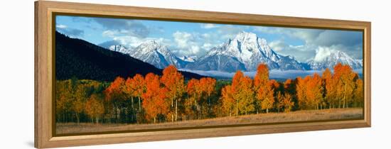 Trees in a Forest with Snowcapped Mountain Range in the Background, Teton Range, Oxbow Bend-null-Framed Premier Image Canvas