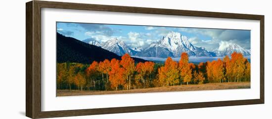 Trees in a Forest with Snowcapped Mountain Range in the Background, Teton Range, Oxbow Bend-null-Framed Photographic Print