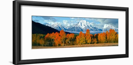 Trees in a Forest with Snowcapped Mountain Range in the Background, Teton Range, Oxbow Bend-null-Framed Photographic Print