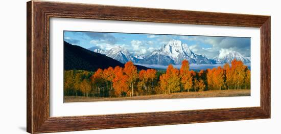 Trees in a Forest with Snowcapped Mountain Range in the Background, Teton Range, Oxbow Bend-null-Framed Photographic Print