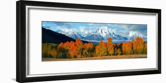 Trees in a Forest with Snowcapped Mountain Range in the Background, Teton Range, Oxbow Bend-null-Framed Photographic Print