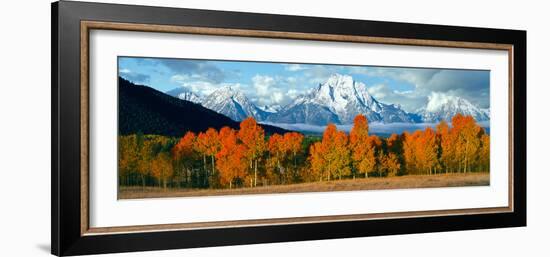 Trees in a Forest with Snowcapped Mountain Range in the Background, Teton Range, Oxbow Bend-null-Framed Photographic Print