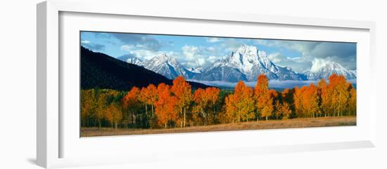 Trees in a Forest with Snowcapped Mountain Range in the Background, Teton Range, Oxbow Bend-null-Framed Photographic Print