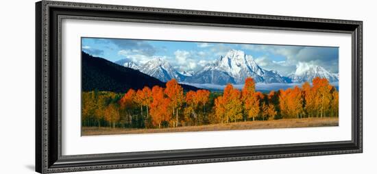 Trees in a Forest with Snowcapped Mountain Range in the Background, Teton Range, Oxbow Bend-null-Framed Photographic Print