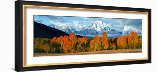 Trees in a Forest with Snowcapped Mountain Range in the Background, Teton Range, Oxbow Bend-null-Framed Photographic Print