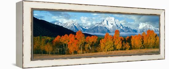 Trees in a Forest with Snowcapped Mountain Range in the Background, Teton Range, Oxbow Bend-null-Framed Premier Image Canvas