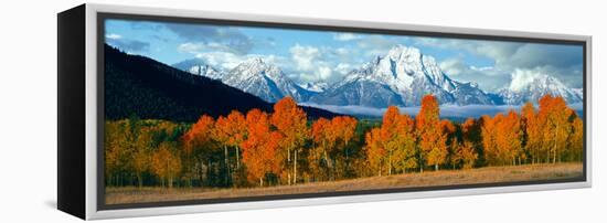 Trees in a Forest with Snowcapped Mountain Range in the Background, Teton Range, Oxbow Bend-null-Framed Premier Image Canvas