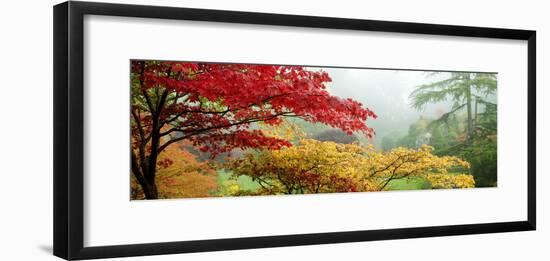 Trees in a Garden, Butchart Gardens, Victoria, Vancouver Island, British Columbia, Canada-null-Framed Photographic Print