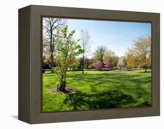 Trees in a Garden, Sherwood Gardens, Baltimore, Maryland, USA-null-Framed Stretched Canvas