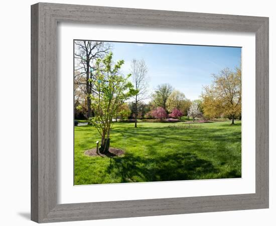 Trees in a Garden, Sherwood Gardens, Baltimore, Maryland, USA-null-Framed Photographic Print