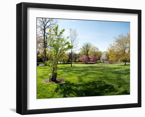 Trees in a Garden, Sherwood Gardens, Baltimore, Maryland, USA-null-Framed Photographic Print