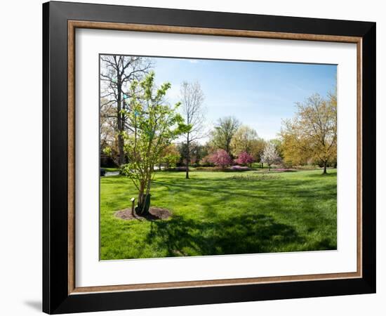 Trees in a Garden, Sherwood Gardens, Baltimore, Maryland, USA-null-Framed Photographic Print