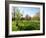 Trees in a Garden, Sherwood Gardens, Baltimore, Maryland, USA-null-Framed Photographic Print