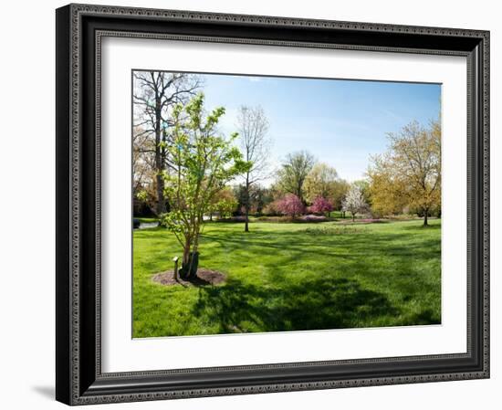 Trees in a Garden, Sherwood Gardens, Baltimore, Maryland, USA-null-Framed Photographic Print