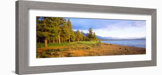 Trees in a Golf Course, Edgewood Tahoe Golf Course, Stateline, Nevada, USA-null-Framed Photographic Print