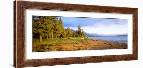 Trees in a Golf Course, Edgewood Tahoe Golf Course, Stateline, Nevada, USA-null-Framed Photographic Print