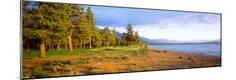 Photographic Print