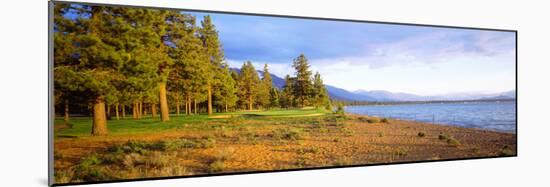 Trees in a Golf Course, Edgewood Tahoe Golf Course, Stateline, Nevada, USA-null-Mounted Photographic Print