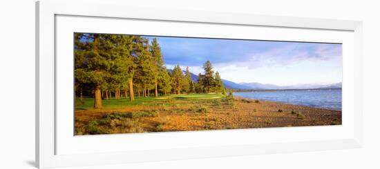 Trees in a Golf Course, Edgewood Tahoe Golf Course, Stateline, Nevada, USA-null-Framed Photographic Print