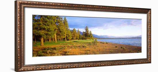 Trees in a Golf Course, Edgewood Tahoe Golf Course, Stateline, Nevada, USA-null-Framed Photographic Print