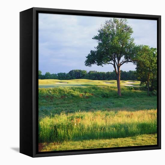 Trees in a Golf Course, Heron Glen Golf Club, Ringoes, New Jersey, USA-null-Framed Premier Image Canvas