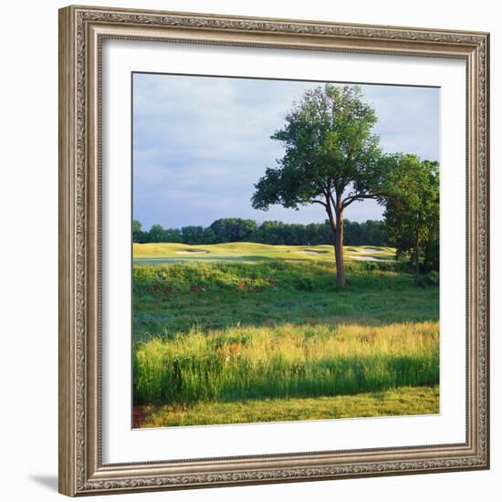 Trees in a Golf Course, Heron Glen Golf Club, Ringoes, New Jersey, USA-null-Framed Photographic Print